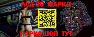 спайс Коммунар