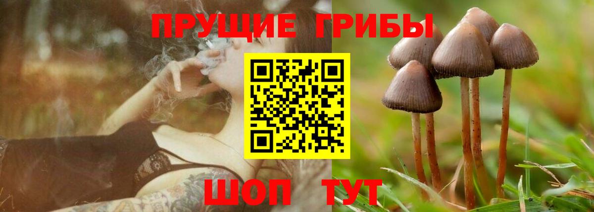 Псилоцибиновые грибы ЛСД Елизово